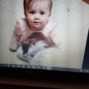 Meet your Posher, Donna